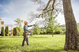 Best Fruit Tree Pruning  in Baiting Hollow, NY