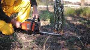 Best Hazardous Tree Removal  in Baiting Hollow, NY