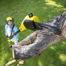 Best Stump Grinding and Removal  in Baiting Hollow, NY