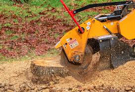 Best Utility Line Clearance  in Baiting Hollow, NY