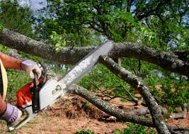 Best Lawn Grading and Leveling  in Baiting Hollow, NY