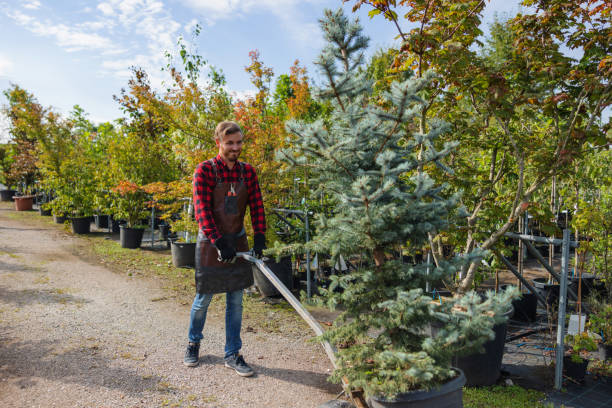 Professional Tree Removal in Baiting Hollow, NY