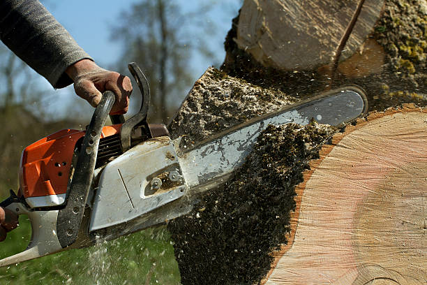Best Pest Control for Lawns  in Baiting Hollow, NY